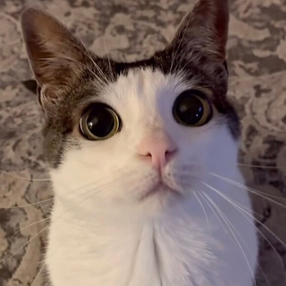 dotslashnatalie